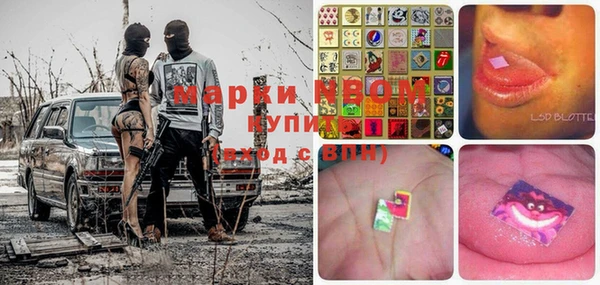 индика Киренск