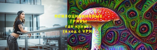 гидропоника Алзамай