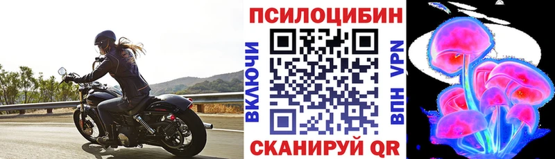 даркнет телеграм  Похвистнево  Галлюциногенные грибы ЛСД 