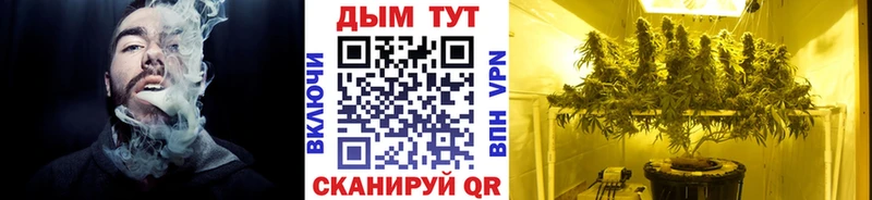где продают   блэк спрут ссылки  Шишки марихуана план  Похвистнево 